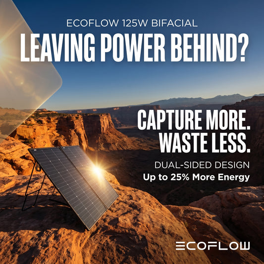 EcoFlow 125W Bifacial Modular Solar Panel